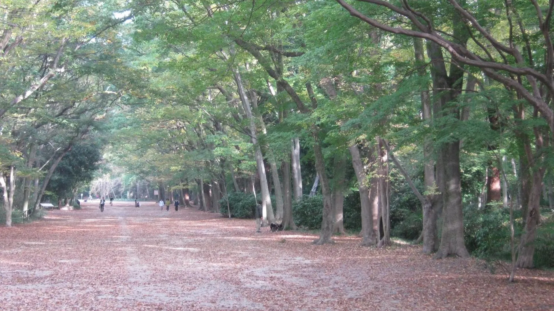 Hostel Guesthouse Hyakumanben Cross Kioto